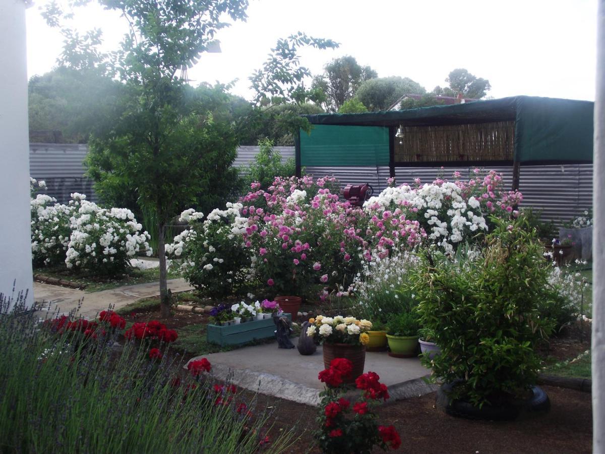 Lavender Rose Bed & Breakfast Bethulie Ngoại thất bức ảnh