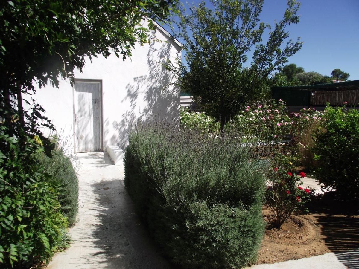 Lavender Rose Bed & Breakfast Bethulie Ngoại thất bức ảnh