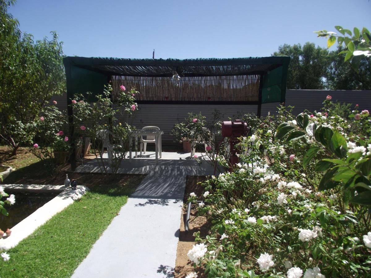 Lavender Rose Bed & Breakfast Bethulie Ngoại thất bức ảnh